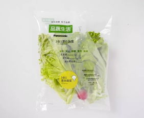 蘇州松下新植物工廠蔬菜正式出貨，科技農(nóng)業(yè)開啟綠色新篇章